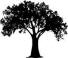 Hundredfold Select Funds